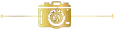 Camera Section